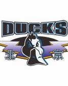 九游游戏娱乐平台-北京篮协发布文明观赛倡议书：杜绝使用粗俗、侮辱性语言